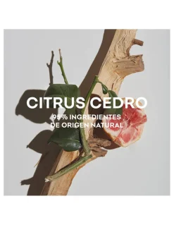 Agua Fresca Citrus Cedro | Adolfo Dominguez