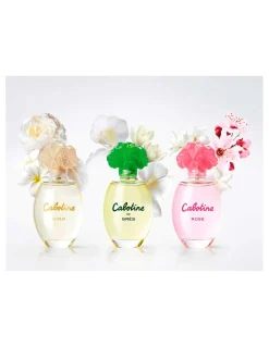 Cabotine Rose
