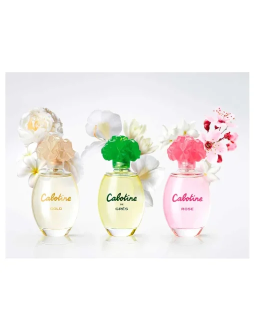 Cabotine Rose