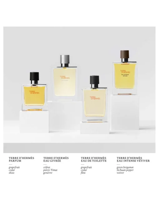 Perfuemrías Coqueteo | Hermès Terre D'Hermès Eau Givrée Refill