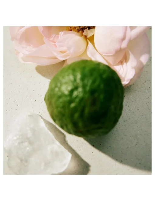 Perfumerías Coqueteo | Chloé Signature L'Eau de Parfum Lumineuse