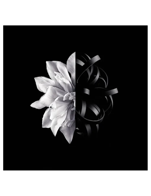 Perfumerías Coqueteo | Givenchy L'Interdit EDT