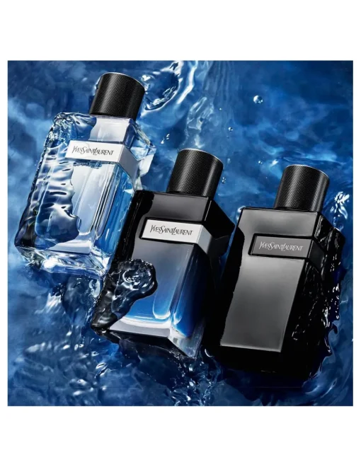 Perfumerías Coqueteo | Yves Saint Laurent Y Men EDT