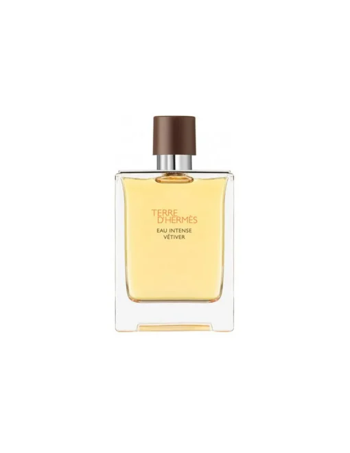 Terre D'Hermes Eau Intense Vetiver