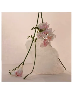 Adolfo Domínguez | Aguas Frescas Nude Musk EDP