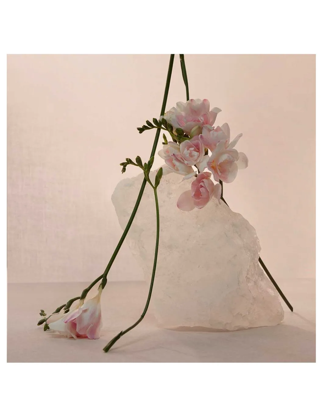 Adolfo Domínguez | Aguas Frescas Nude Musk EDP