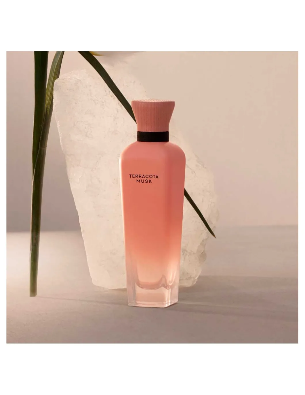 Adolfo Domínguez | Aguas Frescas Terracota Musk EDP