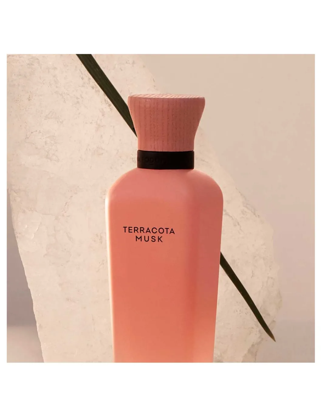 Adolfo Domínguez | Aguas Frescas Terracota Musk EDP