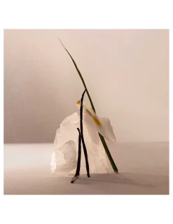 Adolfo Domínguez | Aguas Frescas Terracota Musk EDP