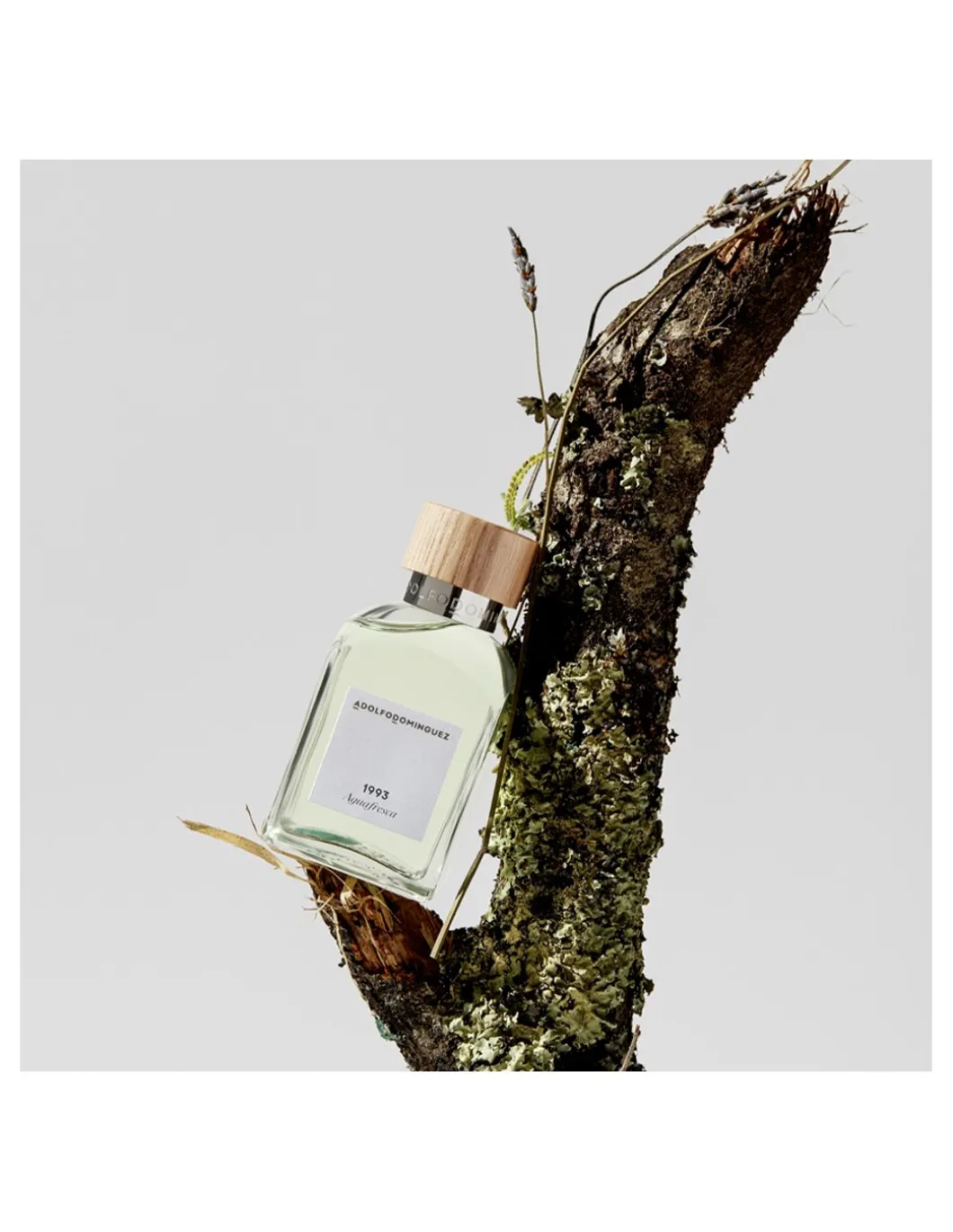 Agua Fresca | Adolfo Domínguez