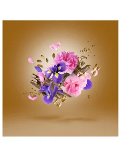 ALEXANDRIA II Edición Limitada| Perfumes Nicho