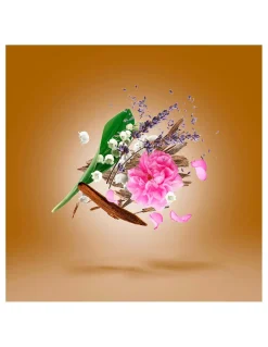 ALEXANDRIA II | Perfumes Nicho