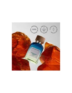 Bergamota Ambar | Perfumerias Coqueteo