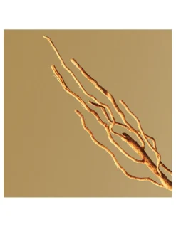 Boss Bottled EDP Para Hombre