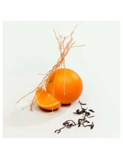 Calvin Klein | CK Everyone EDP