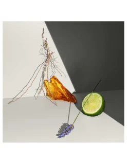 Calvin Klein | Defy EDT