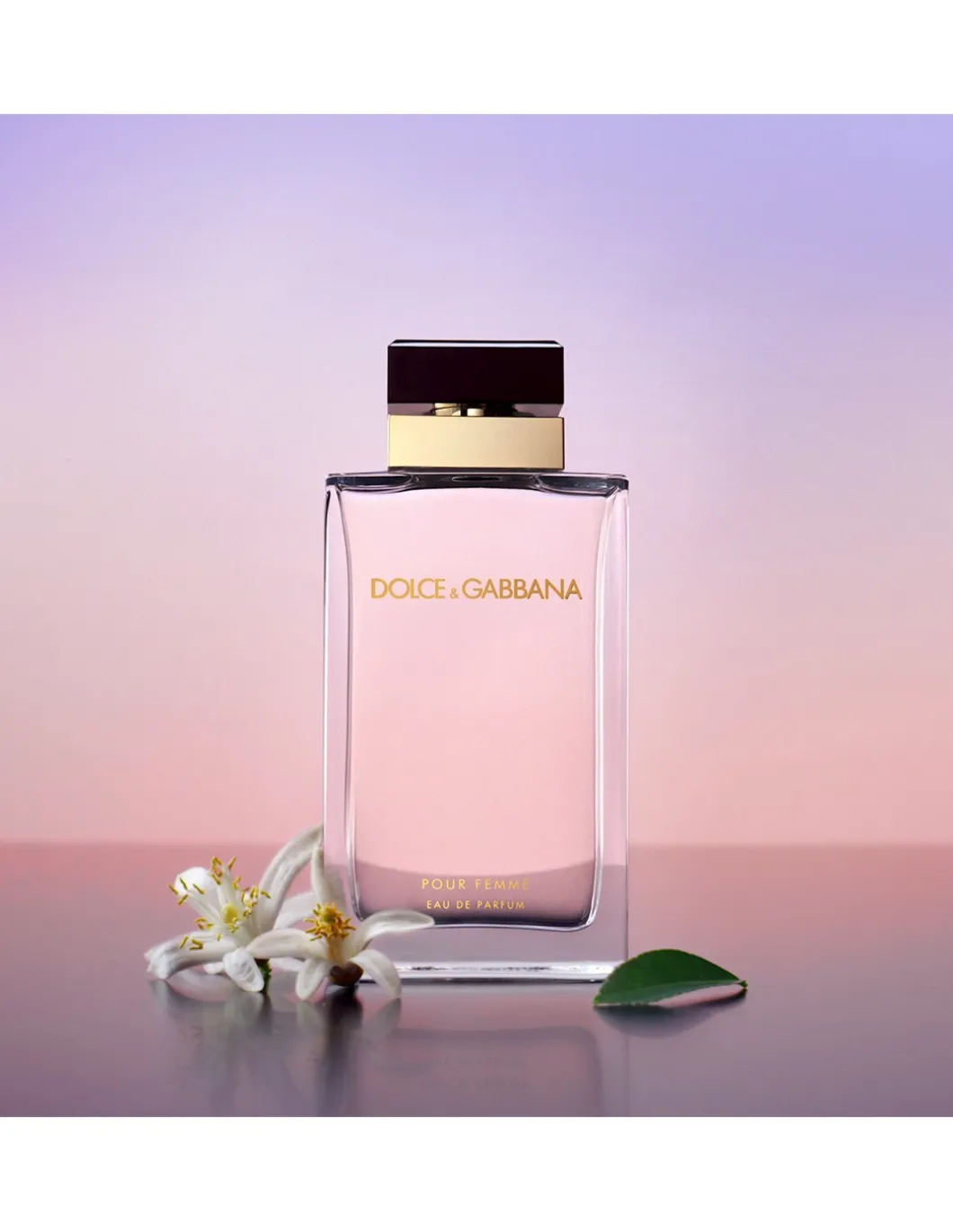 Dolce&Gabbana Pour Femme