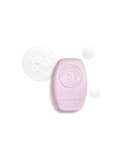 Gentle Solid Shampoo