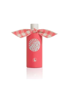 Hey Sunshine | El Ganso