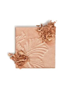 Highlighting Powder| Wet N Wild