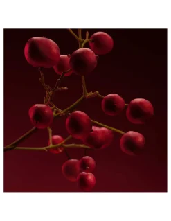 Hugo Boss | Boss The Scent Elixir Parfum Intense for Her