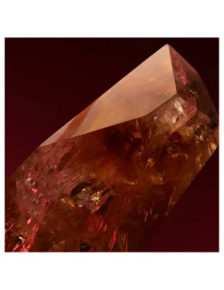 Hugo Boss | Boss The Scent Elixir Parfum Intense for Her