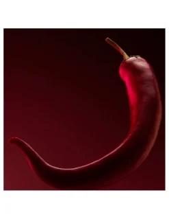 Hugo Boss | Boss The Scent Elixir Parfum Intense for Him