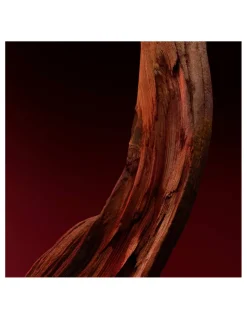 Hugo Boss | Boss The Scent Elixir Parfum Intense for Him