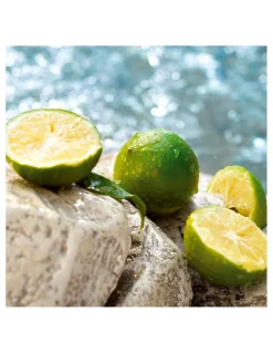 Light Blue Summer Vibes | Dolce & Gabbana