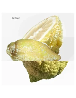 Perfuemrías Coqueteo | Hermès Terre D'Hermès Eau Givrée EDP