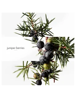 Perfuemrías Coqueteo | Hermès Terre D'Hermès Eau Givrée EDP