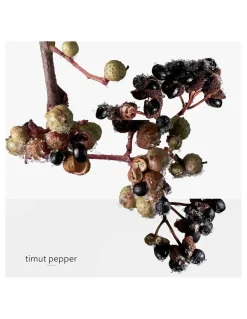 Perfuemrías Coqueteo | Hermès Terre D'Hermès Eau Givrée EDP