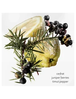 Perfuemrías Coqueteo | Hermès Terre D'Hermès Eau Givrée Refill