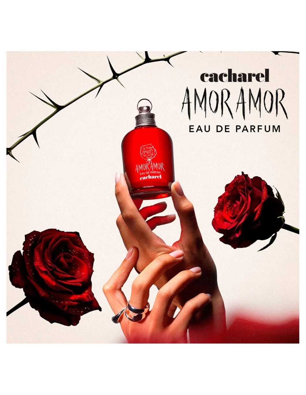 Perfumería Coqueteo | Amor Amor EDP