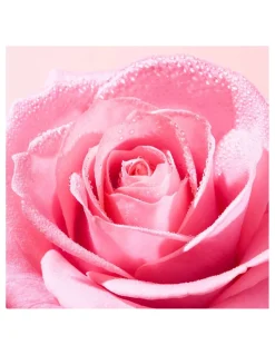 Perfumerías Coqueteo | Agua Micelar Calmante 3en1 Nuxe