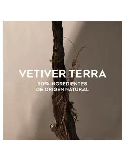 Perfumerías Coqueteo | Adolfo Domínguez Vetiver Tierra EDP