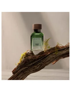 Perfumerías Coqueteo | Adolfo Domínguez Vetiver Tierra EDP