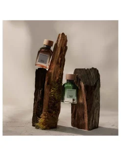 Perfumerías Coqueteo | Adolfo Domínguez Vetiver Tierra EDP