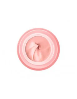 Perfumerías Coqueteo | Crema de Día Neovadiol Rose Platinum