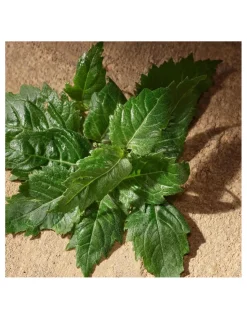 Perfumerías Coqueteo | Dolce&Gabbana Devotion Pour Homme