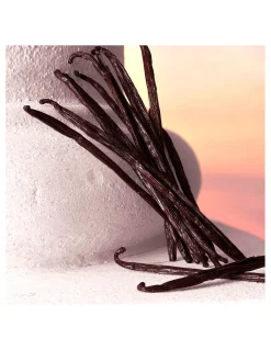 Perfumerías Coqueteo | Dolce&Gabbana Devotion EDP Intense