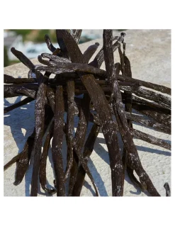 Perfumerías Coqueteo | Dolce&Gabbana Devotion EDP