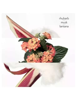 Perfumerías Coqueteo | Eau Rhubarbe Ecarlate Hermès