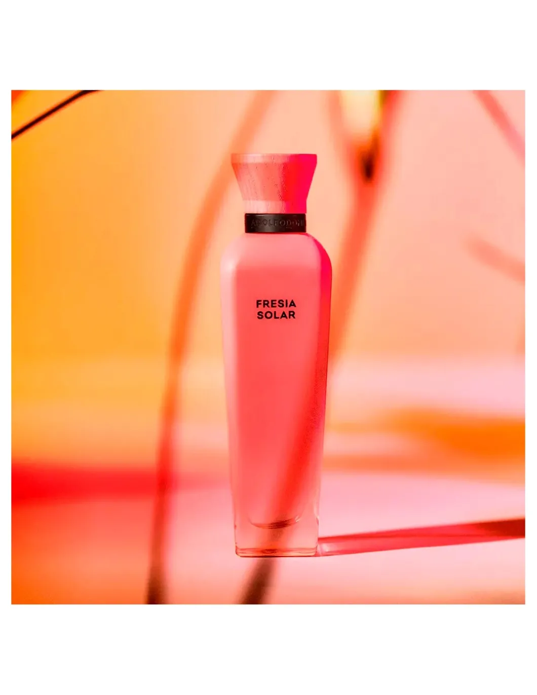 Perfumerías Coqueteo | Fresia Solar Adolfo Domínguez