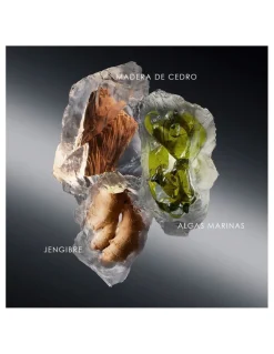 Perfumerías Coqueteo | Issey Miyake Le Sel D'Issey EDT