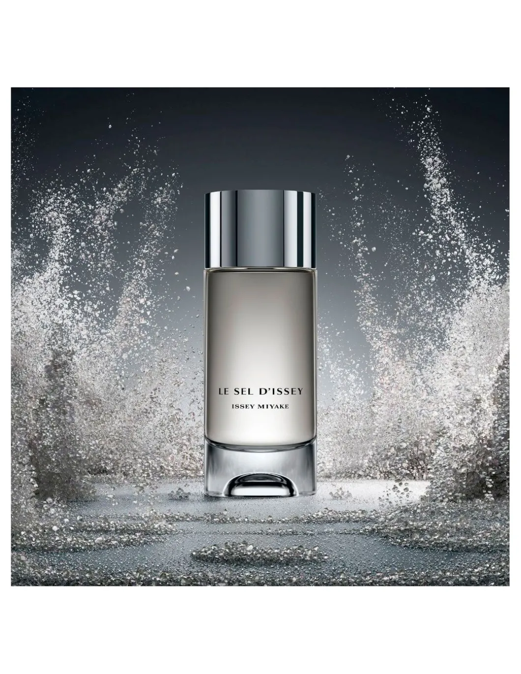 Perfumerías Coqueteo | Issey Miyake Le Sel D'Issey EDT