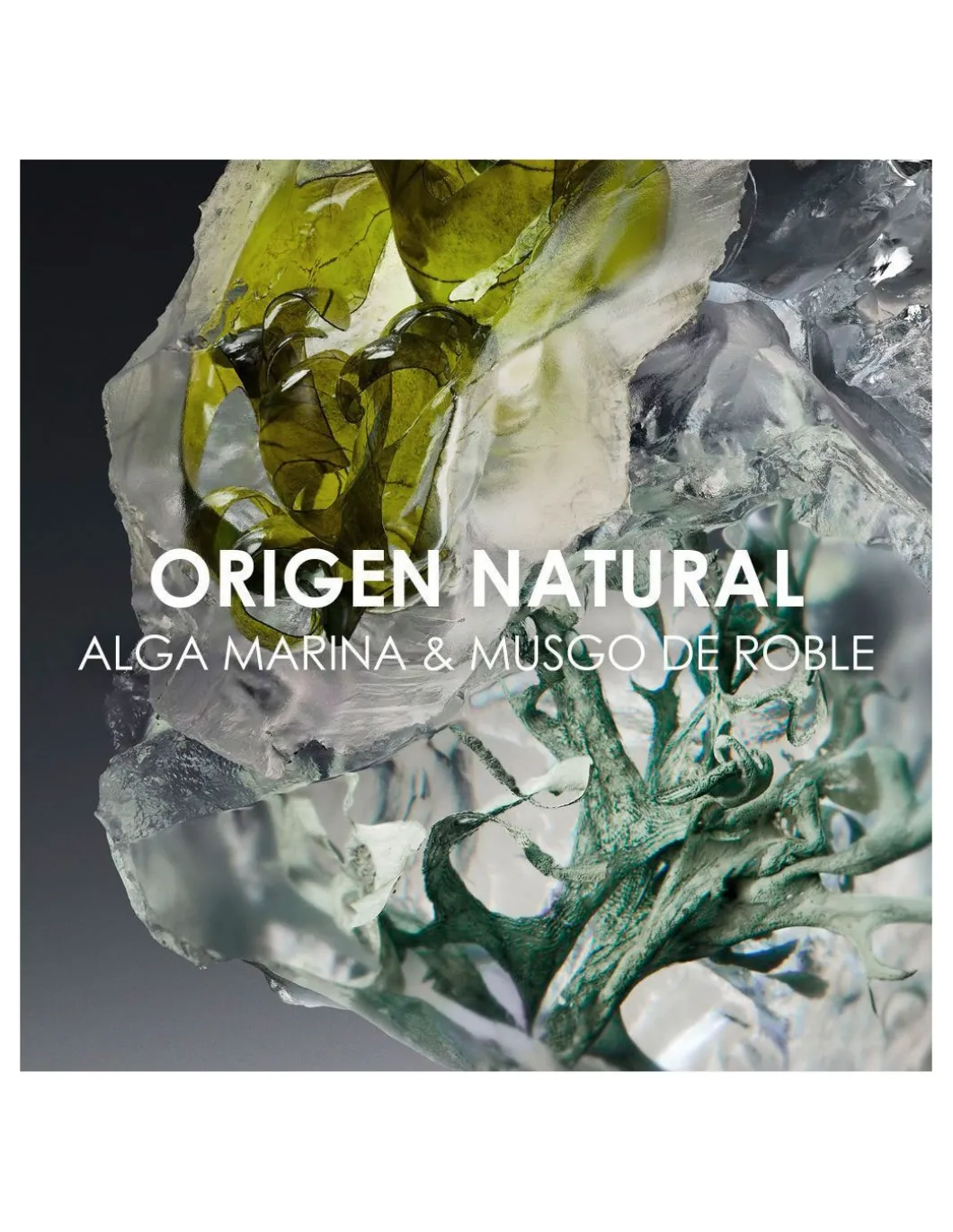 Perfumerías Coqueteo | Issey Miyake Le Sel D'Issey EDT