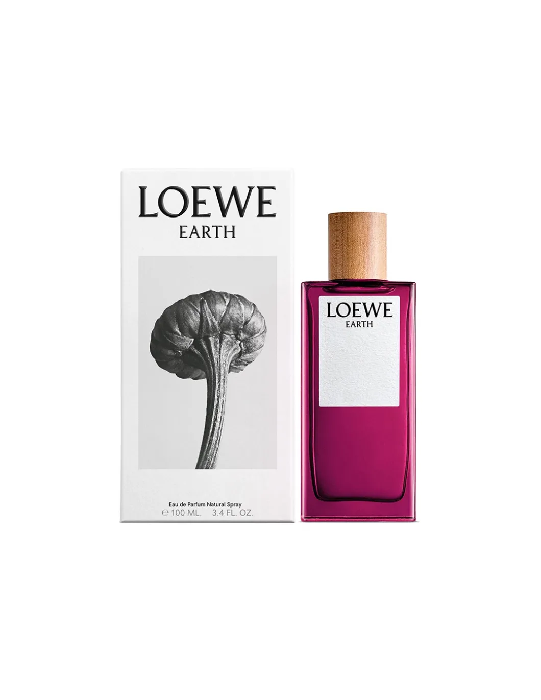Perfumerías Coqueteo | Loewe Earth