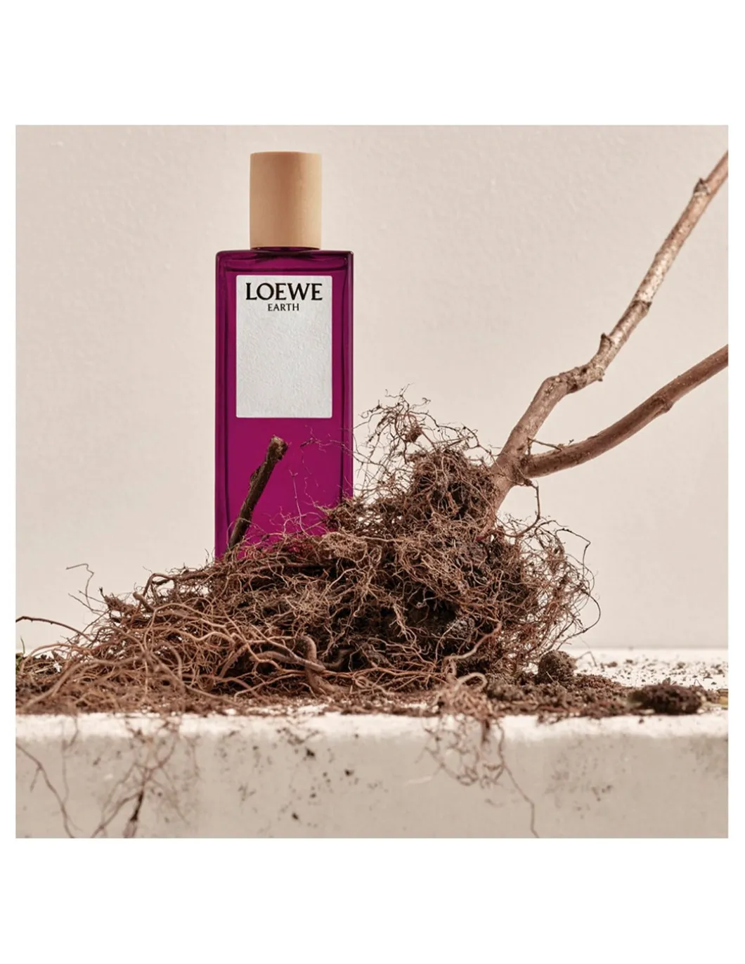 Perfumerías Coqueteo | Loewe Earth