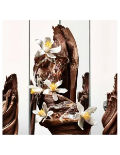 Perfumerías Coqueteo | MYSLF